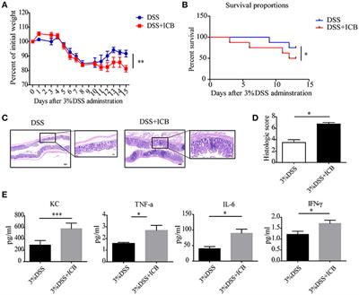 Probiotics Lactobacillus reuteri Abrogates Immune Checkpoint Blockade-Associated Colitis by Inhibiting Group 3 Innate Lymphoid Cells